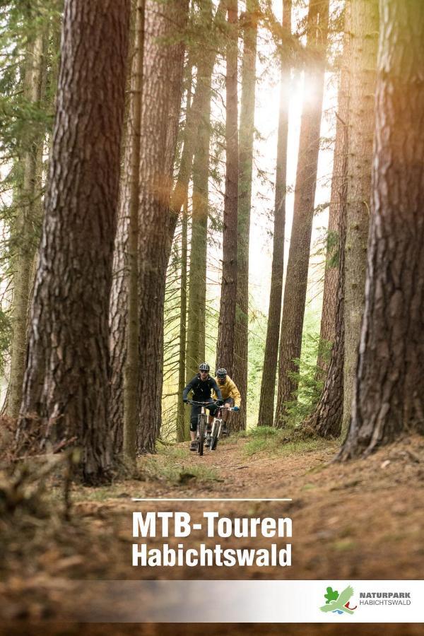 Landhotel Sonneneck - Breuna Im Naturpark エクステリア 写真